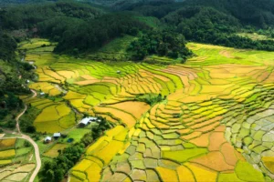 10 thành phố đắt đỏ nhất thế giới 2024