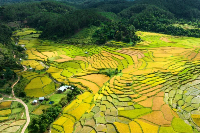 10 thành phố đắt đỏ nhất thế giới 2024