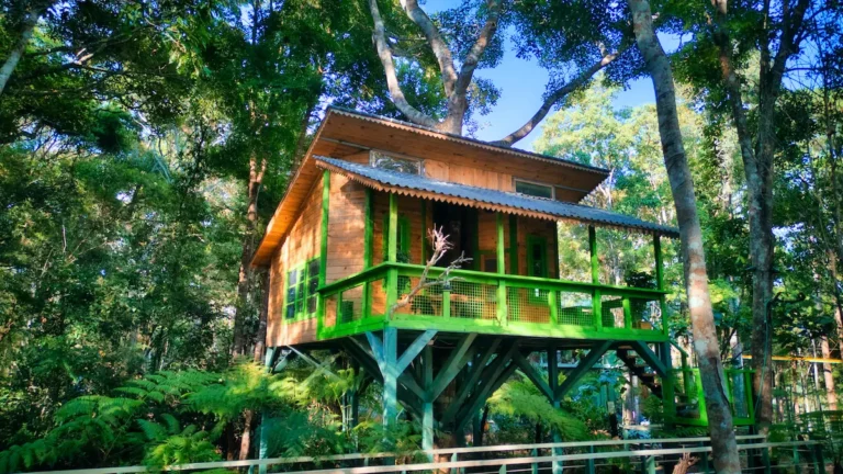 Treehouse 01