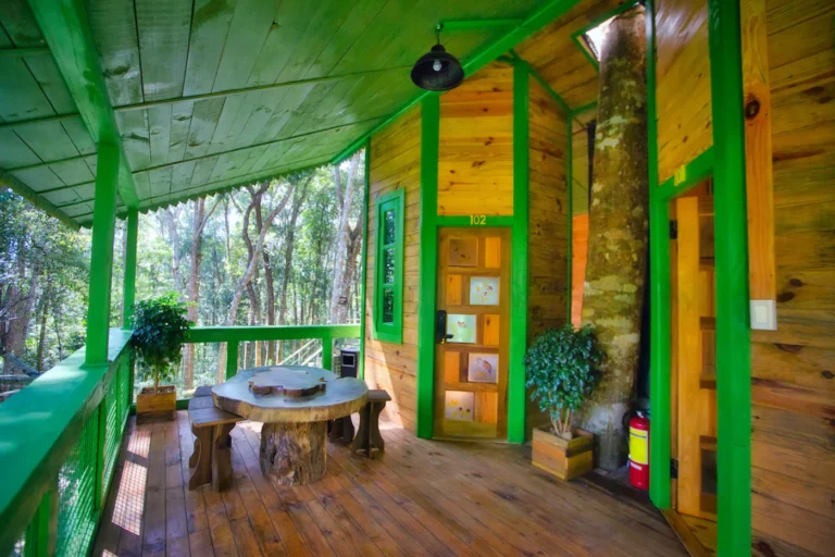 Treehouse 01
