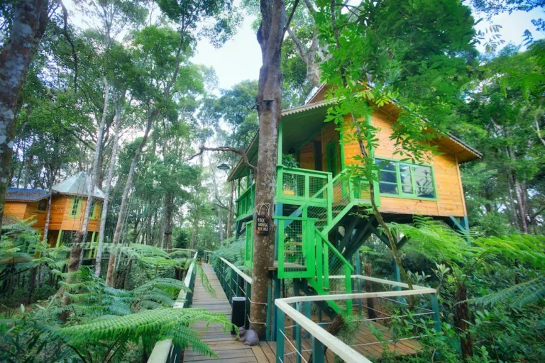 Treehouse 01