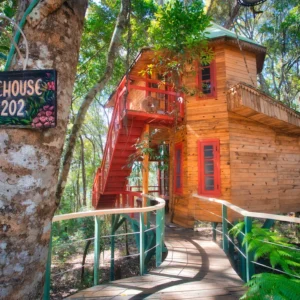 Treehouse 02