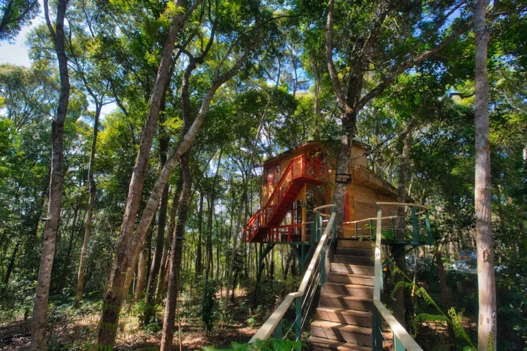 Treehouse 02