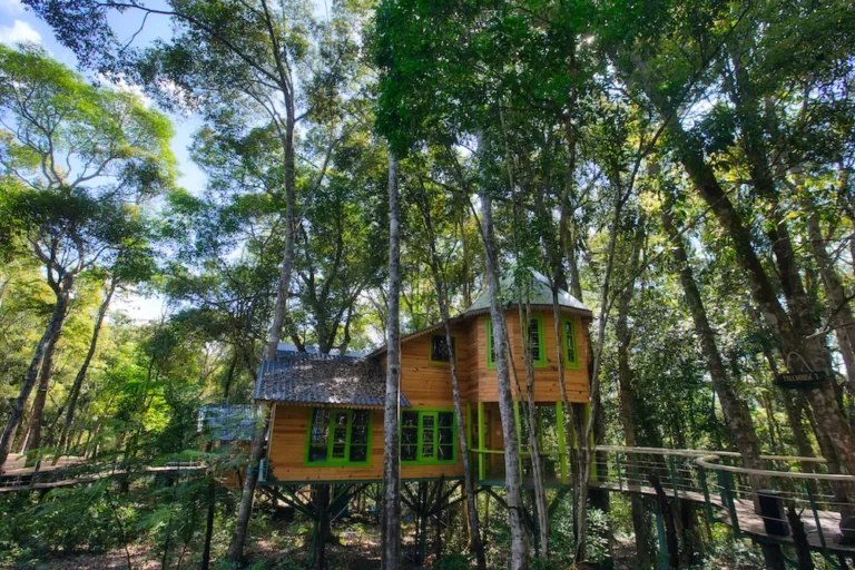 Treehouse 03