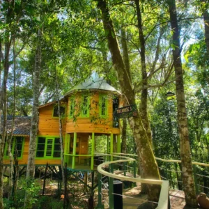 Treehouse 03