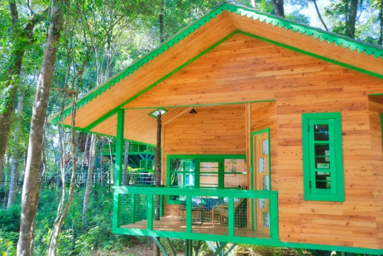 Treehouse 04
