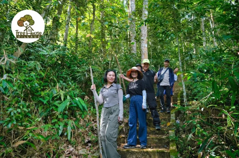 Tour Trekking