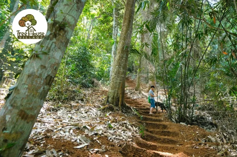 Tour Trekking