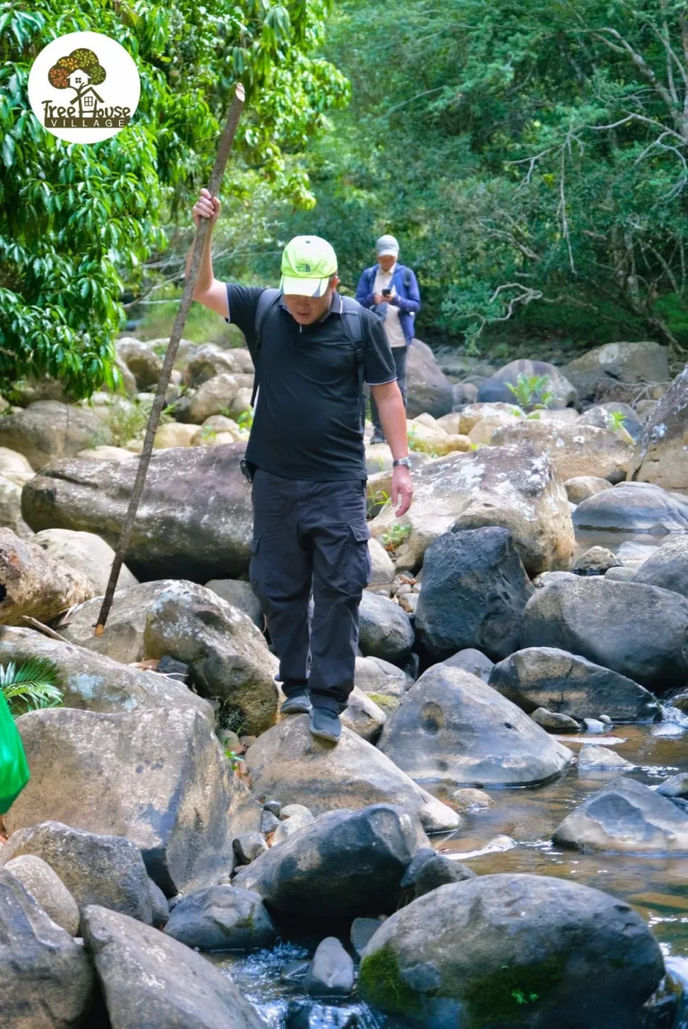 Tour Trekking