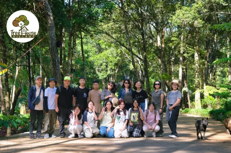 Tour Trekking