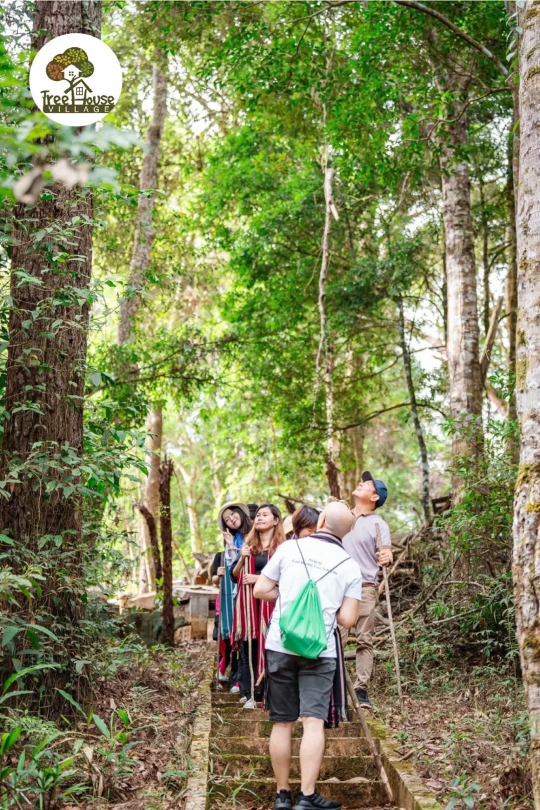 Tour Trekking