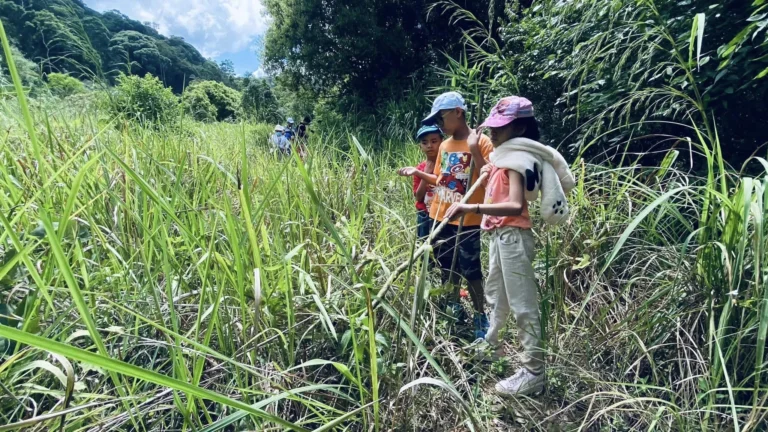 Tour Trekking