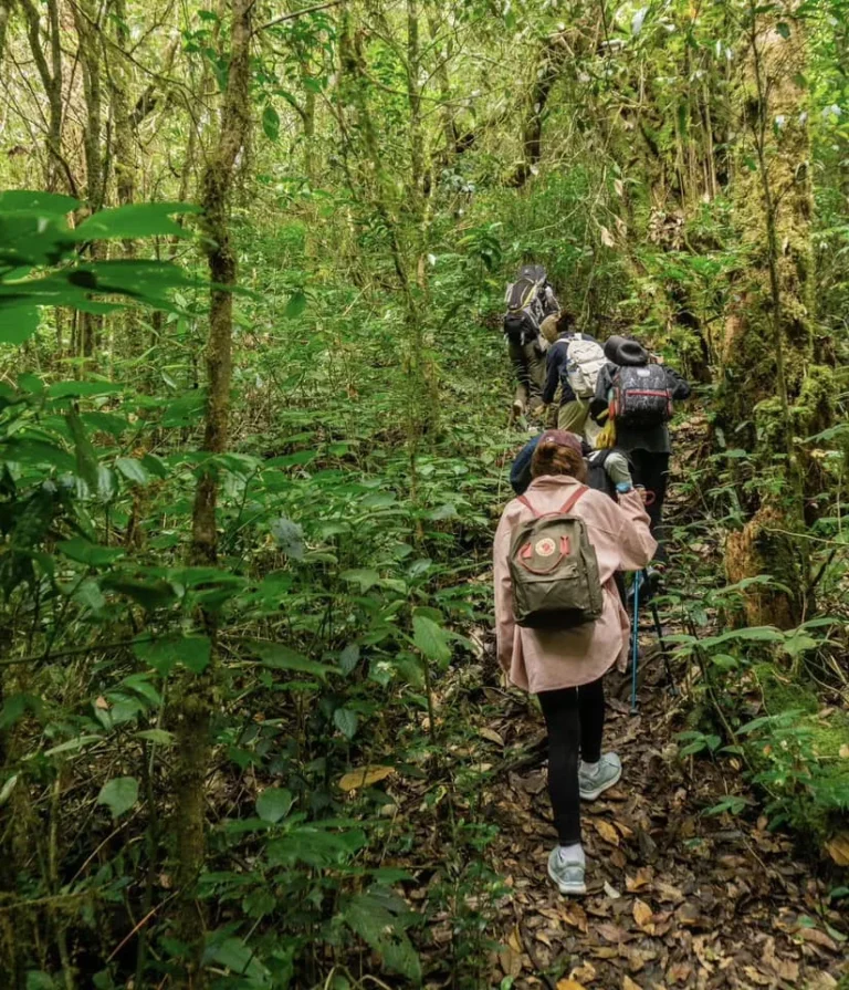 Tour Trekking