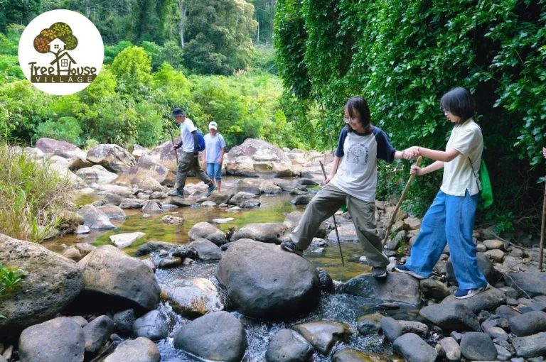 Tour Trekking