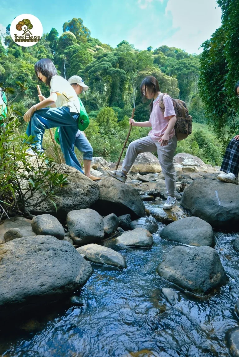 Tour Trekking