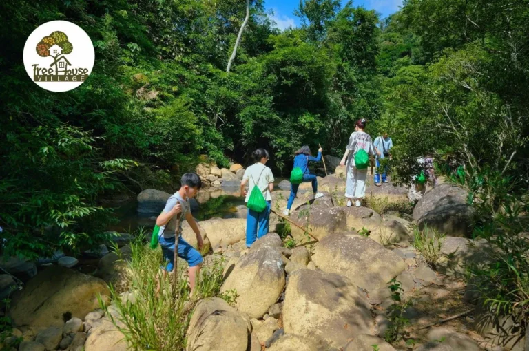Tour Trekking