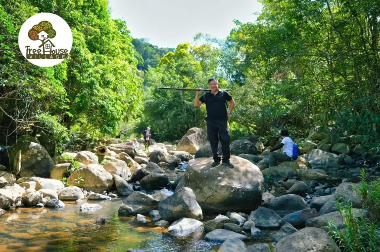 Tour Trekking