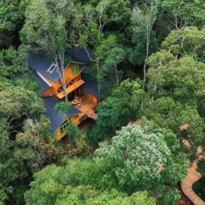 Treehouse 07