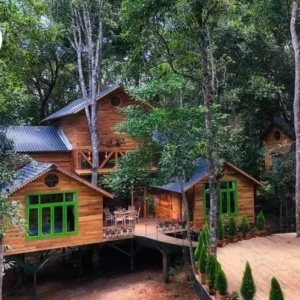 Treehouse 07