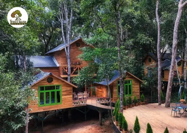 Treehouse 07