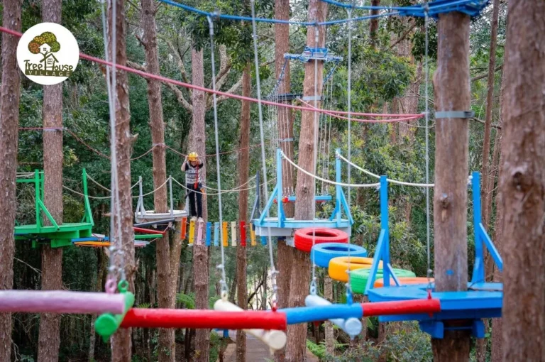 Sky Walk