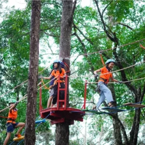 Sky Walk